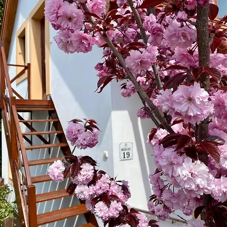 Rozsa 19 Badacsony Badacsonytomaj