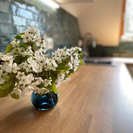 Rozsa 19 Badacsony شقة باداتشونيتوماي