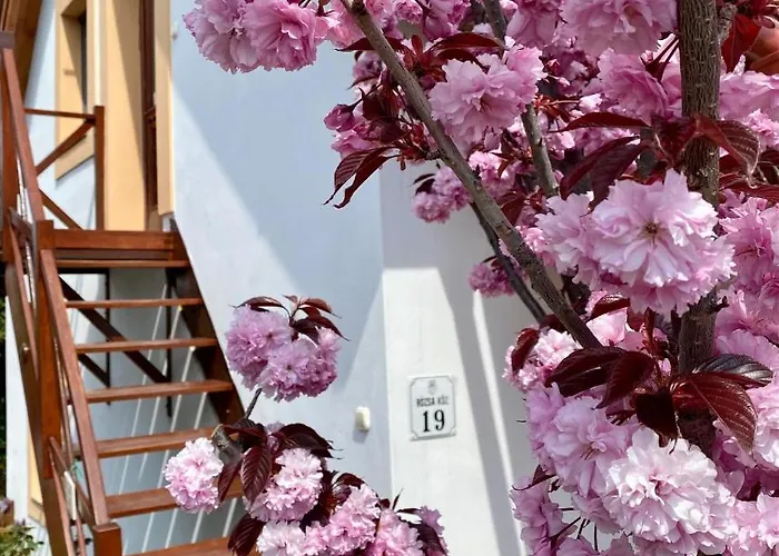 Rozsa 19 Badacsony 바다초니토마이