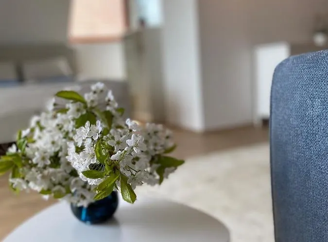 Rozsa 19 Badacsony 아파트 바다초니토마이